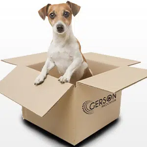 Dog in a box