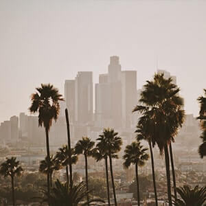 Los Angeles skyline with palm trees in the foreground