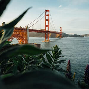 San Francisco’s golden gate bridge viewed from an overlook with foliage.