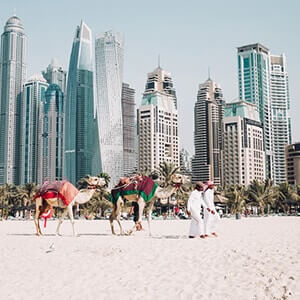 A man leading camels along a sandy beach with Dubai high-rise buildings in background