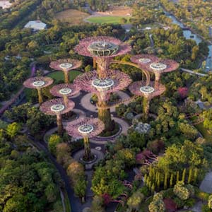 Famous Gardens by the Bay in Singapore