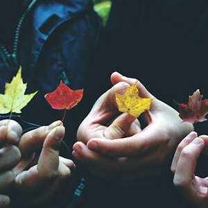 People holding Canadian maple leaves in various colours