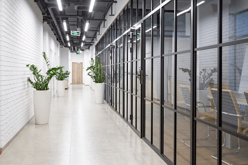 Workspace With White Hallway With Glass Windows And Tall Potted Plants.