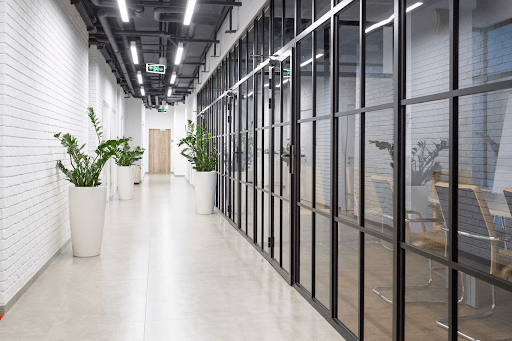 Workspace with white hallway with glass windows and tall potted plants.