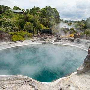 Beautiful view of the te puia geyser in rotorua, new zealand