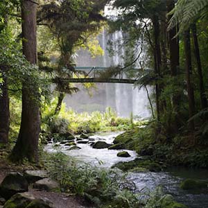 Bridge across a river at Whangarei Falls in New Zealand