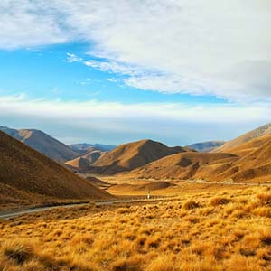 Golden hills of New Zealand