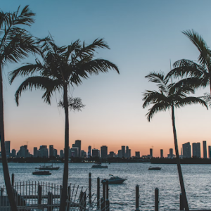 Palm trees of Miami Beach with Miami’s skyline against the sunset on the horizon