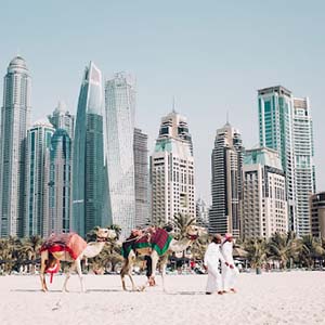 Men leading camels over a white sand beach in front of Dubai’s skyscrapers