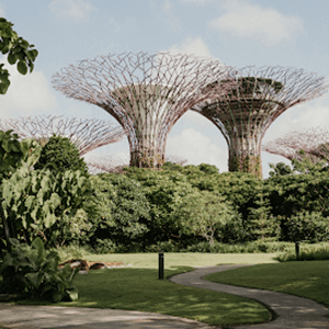 Botanical Garden in Singapore