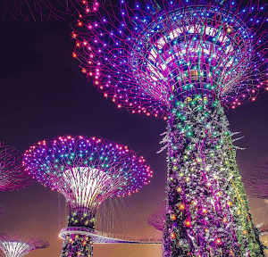 Gardens By The Bay At Night, Singapore