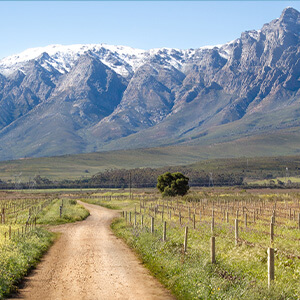 Snow-capped mountains in South Africa